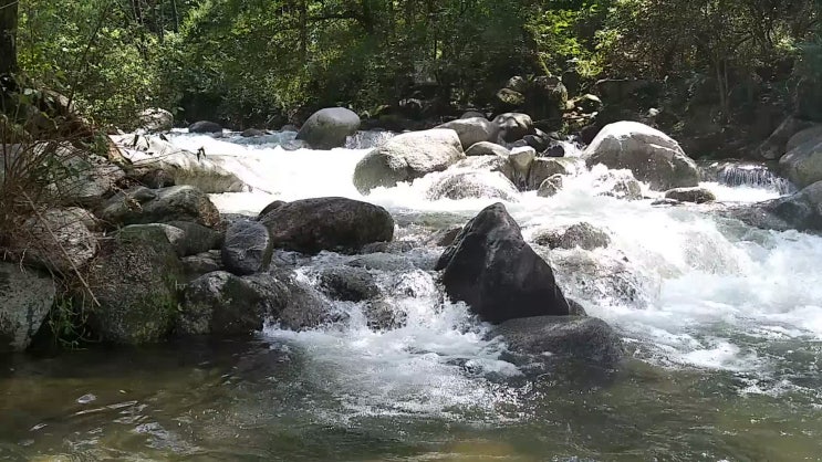  지리산 계곡 둘레길