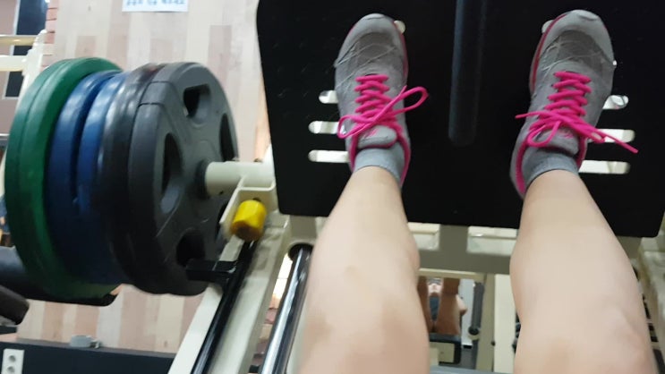  저탄고지 식단+16시간 단식다이어트 10일차 다이어트 일기