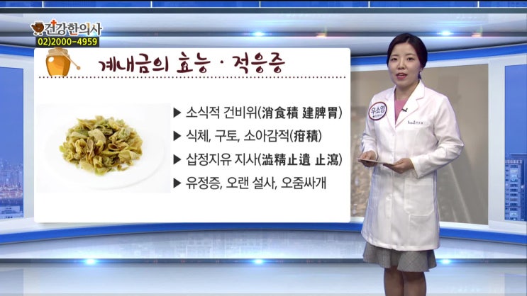  계내금 - 닭모이주머니 효능과 복용법 조류독감에 안전하게 복용하는 법