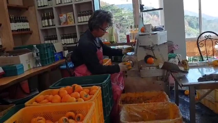  반건조 곶감 감깍기