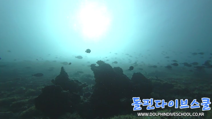  길리트라왕안 스킨스쿠버 다이빙 - 트라왕안 슬로프 펀다이빙