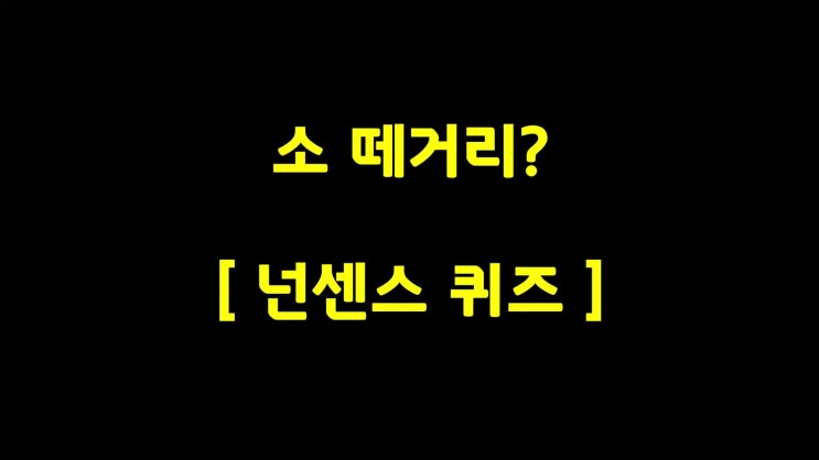  시간때우기용 넌센스-소떼거리?