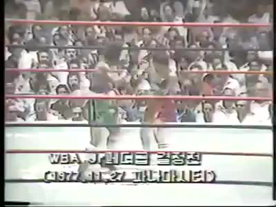  유머 한마당/좋은놈. 나쁜놈.이상한놈