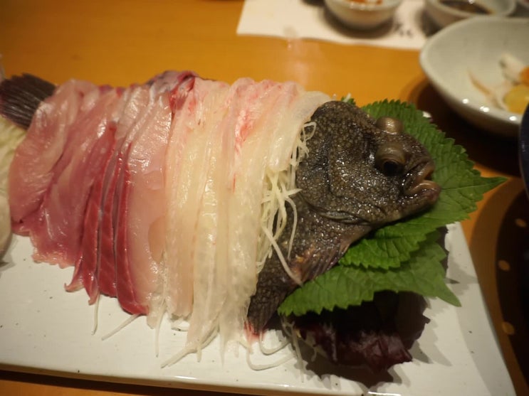  해운대 맛집, 제철 회도 맛있고 전망이 좋은  - 선창횟집