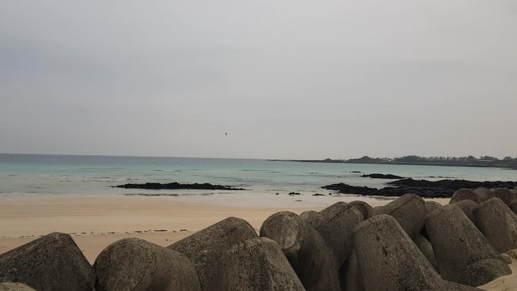  제주도-동쪽바다구경