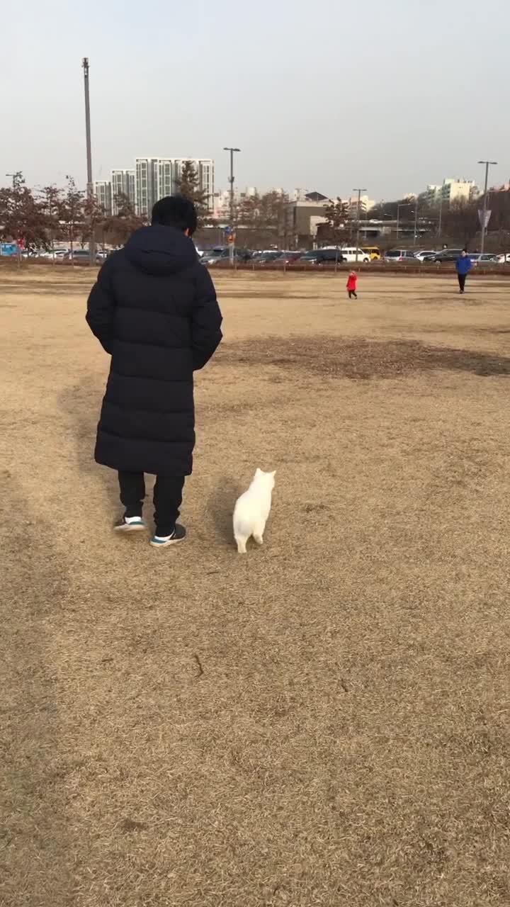 집사와 소곤소곤 더 가까워진 소풍 - 그리고 종 훈련의 중요성