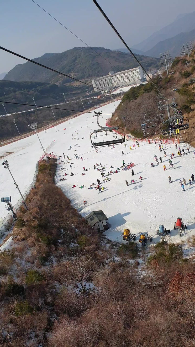  (사비티비) 에덴벨리 방문기