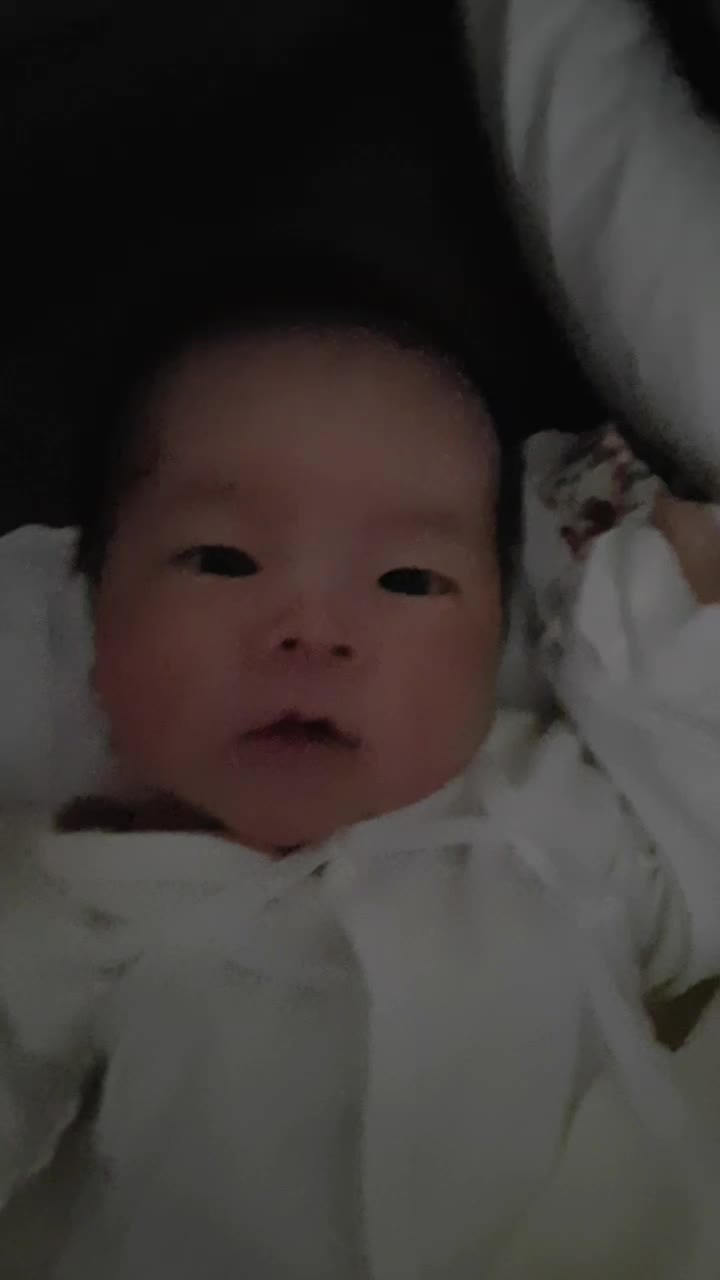  로우니 영상