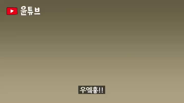 [스크랩]압록강 애꾸눈 뱃사공 (심유경과 정의용 국가안보실장)