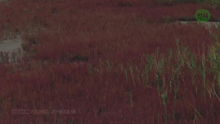  [잠실 석촌 디앤지실용음악학원] 보컬리스트 '양정모' 선생님, 이태권, 손진영씨와 함께 새 앨범 발매!