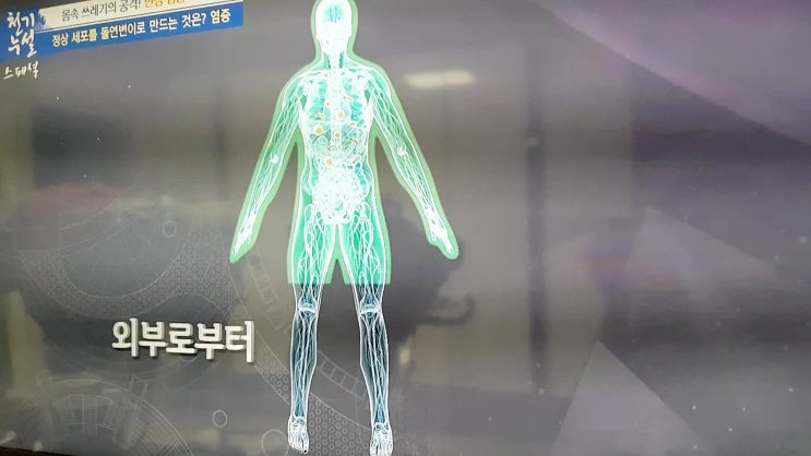  천기누설 흑더덕 만성 염증 잡는 발효 사삼