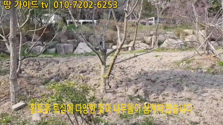  의령땅160평(전원주택지&주말농원)