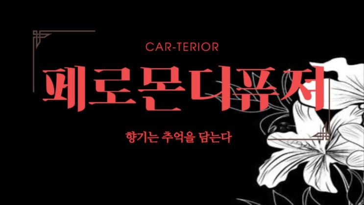  카테리어 - 고급디퓨져, 명품디퓨져, 부모님 남자친구 여자친구 선물 외제차 국산차 모두 잘 어울리는 최고급 차량용 방향제 디퓨져