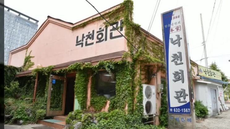  [환]속초 냉면 맛집! 생생정보통 맛집, 홍게 회냉면! 소고기 수육!