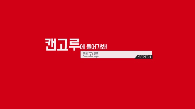  문화생활을 위한 모든 것, 캔고루 들어가봐~