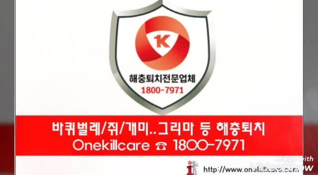  울산바퀴벌레퇴치/울산해충퇴치/울산개미퇴치!!울산방역업체 원킬케어로 확실하게 퇴치하세요!!