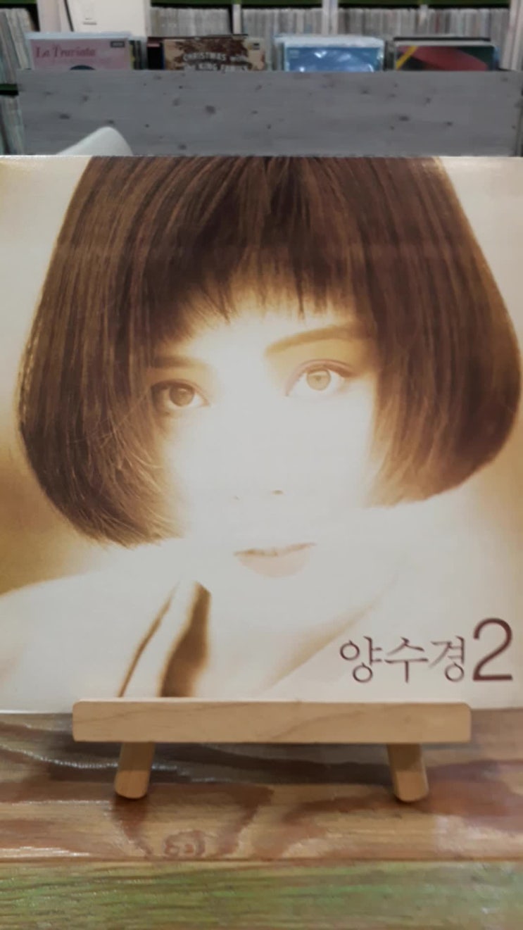  사랑은 창밖의 빗물같아요: 양수경