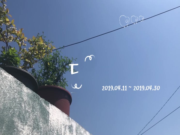  도시재생 새싹학교 스케치 영상