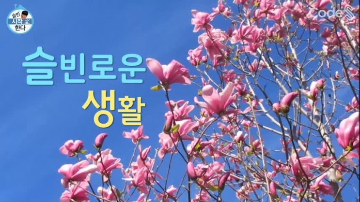  코드에스 피플 허슬빈 팀장님