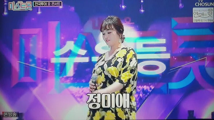  전국투어 효콘서트 정미애 수은등 (원곡 김연자)