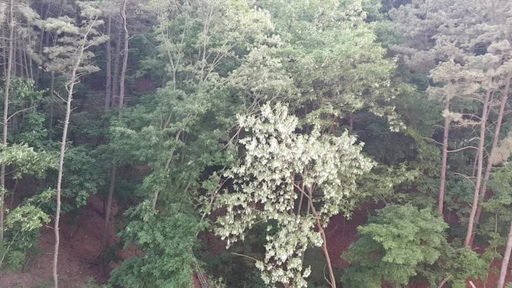  선선한 저녁