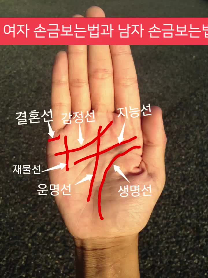 여자 손금보는법 남자 좋은 손금, 운명선과 결혼선 어떤지 확인하세요