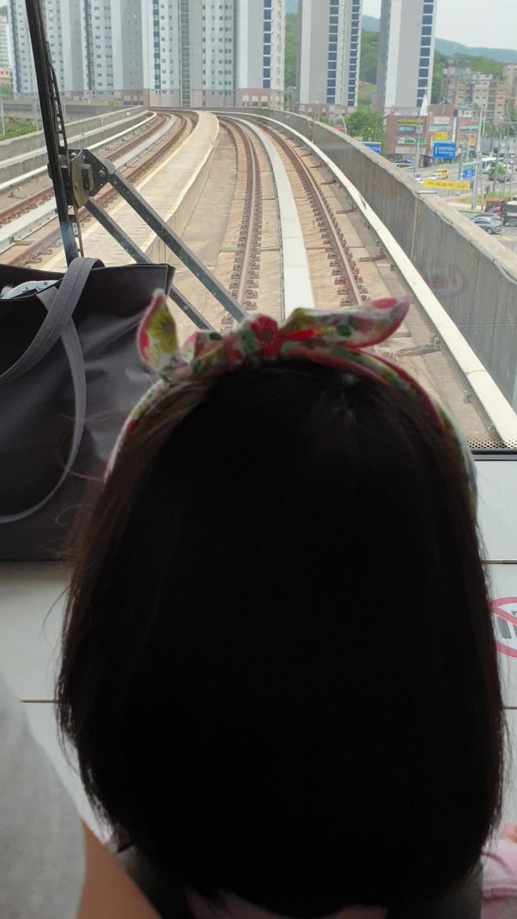  용인종합시장 방문기