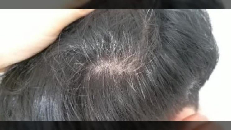  씨드비 물염색약 솔직 후기