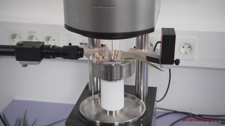  [표면장력측정계] Water Adhesion on Plant Leaves with a Tensiometer from DataPhysics Instruments