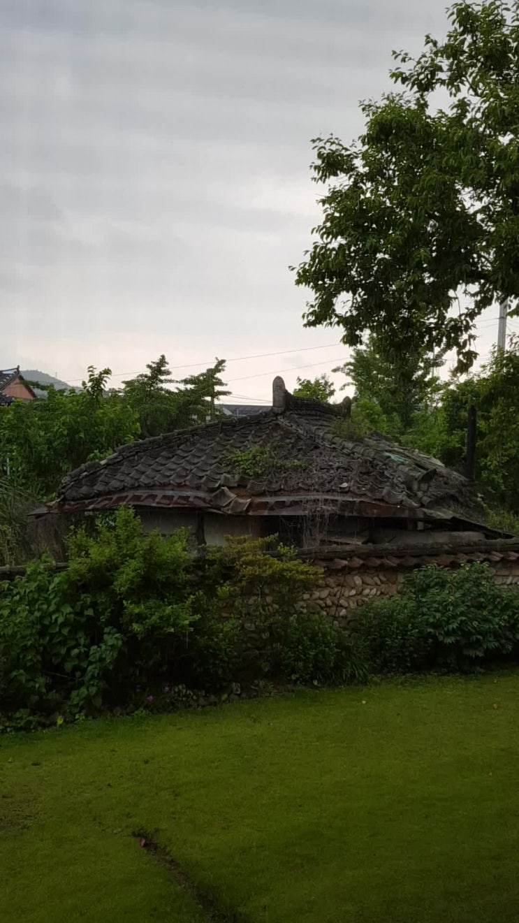  20190611_내가 좋아하는 것들