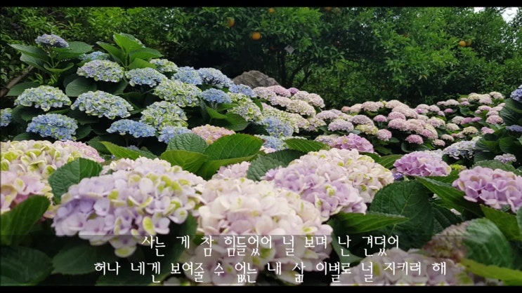  [복면가왕] 나이팅게일(씨야 이보람) 잠시만 안녕