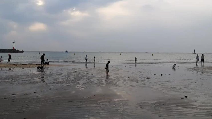  제주도 밤에 가볼만한 곳2_ 제주시 이호테우 해변