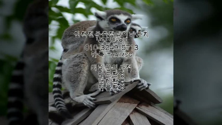 안양 석수동 홈타이출장! 와우시원해 ㅠㅠ