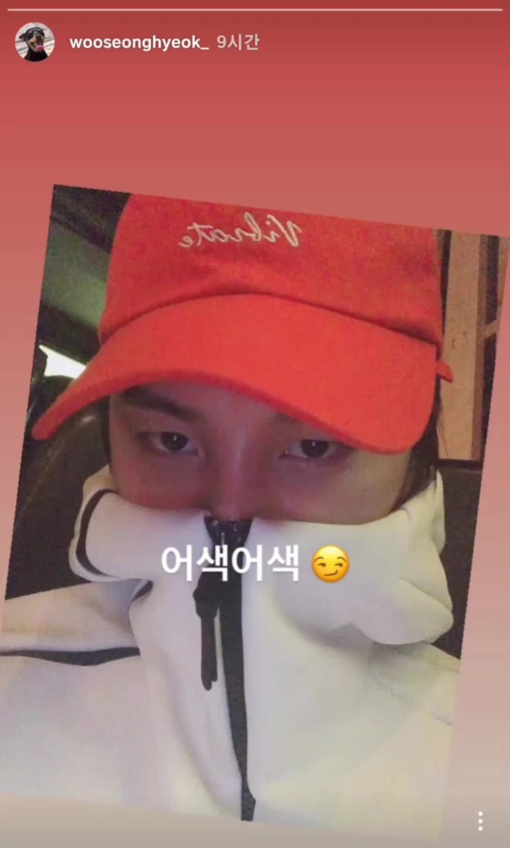  190710 스누퍼 우성 인스타 스토리 gif. ver