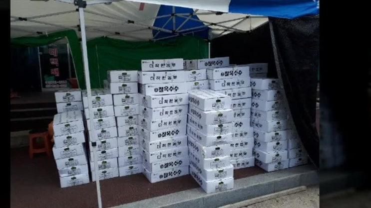  더착한농부 괴산대학찰옥수수 주문했습니다!