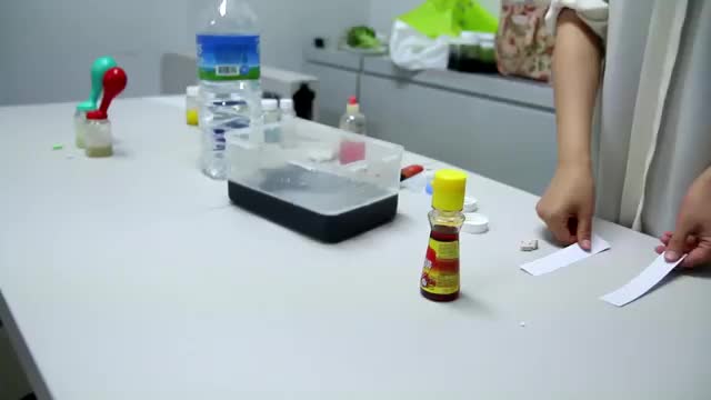  콜레스테롤, 혈관건강,항산화 _ 레시틴 (LECITHIN)