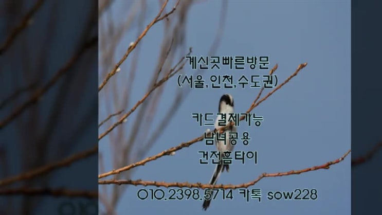  인천 남동구 홈타이출장 여기서 받으면 집으로 온다?