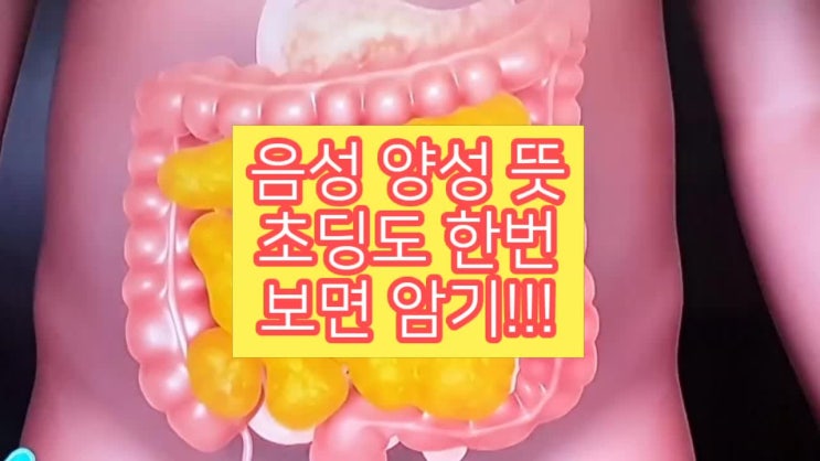 음성 양성 뜻 ? 초딩용으로 풀어봄 ft 반응