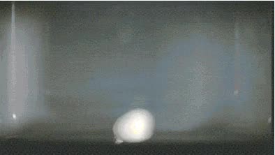  전자렌지에 돌리면 안되는 것들(영상)