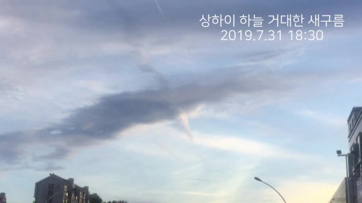  퇴근길 하늘에 거대한 새 한마리가 날아가네요~ 구름새~