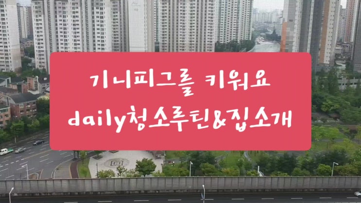  기니피그 키우기,기니피그 집소개/기니피그 케이지, 건초,사료,용품(기니피그를 키우기 전에 알아야할 것들)