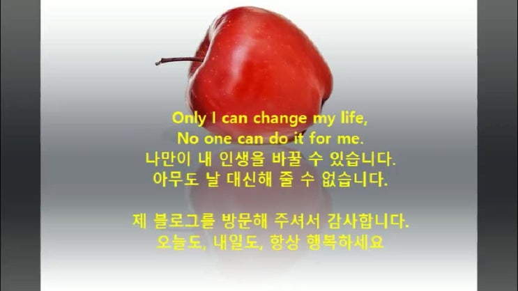  (경매) 매각대금 채권상계신청(차액지급신고)의 의미와 방법