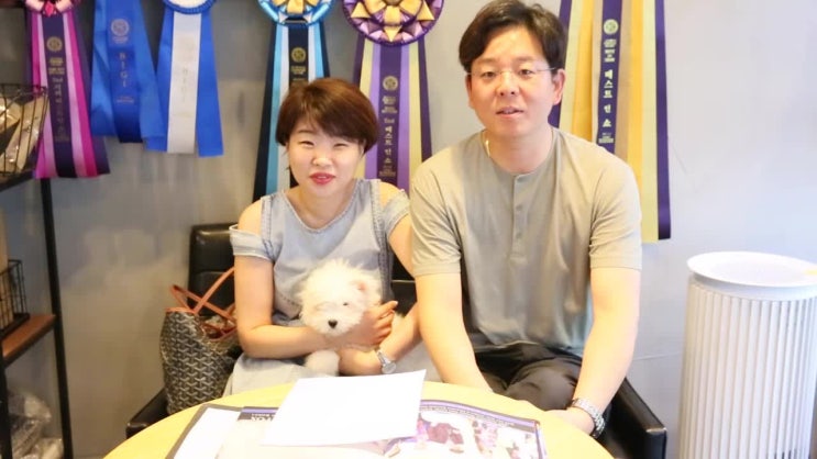  꼬똥드툴레아 ' 사랑이' 당첨자 발표.