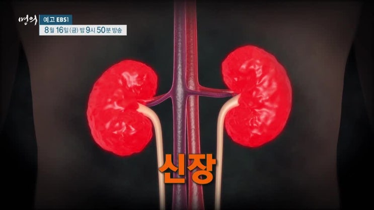  [TV정보] EBS1 명의, 625회 <신장, 희망을 이식하다>