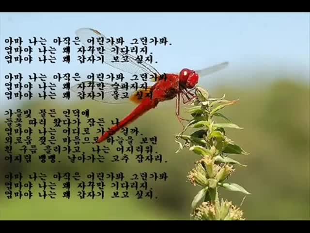  조용필의 고추잠자리