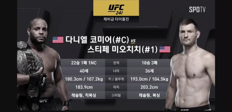  UFC 241-링러스트 나 줘버려~