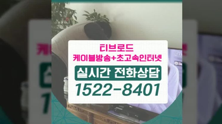 권선구 금곡동, 호매실동 인터넷가입 좋은 경로를 알아보세요 
