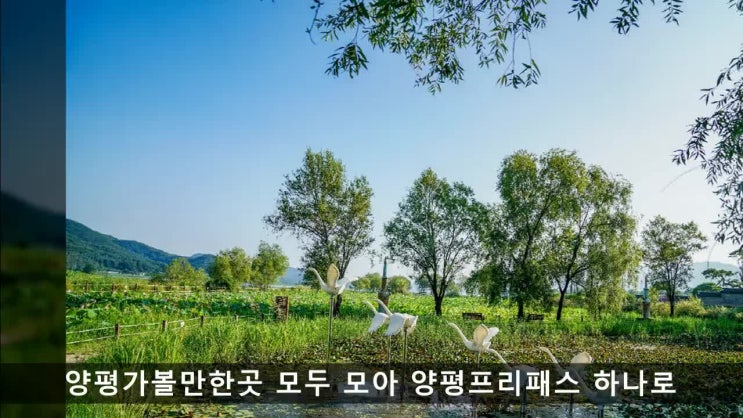  양평가볼만한곳 모두 모아 양평프리패스 하나로