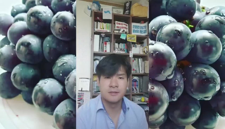  가을남자 정오의 시 491 포도알 속에도 씨가 있다 - 이선영