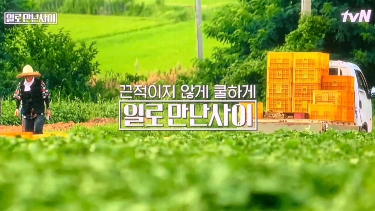  일로만난사이 2화 차승원편, 무안 해수 고구마 촬영지